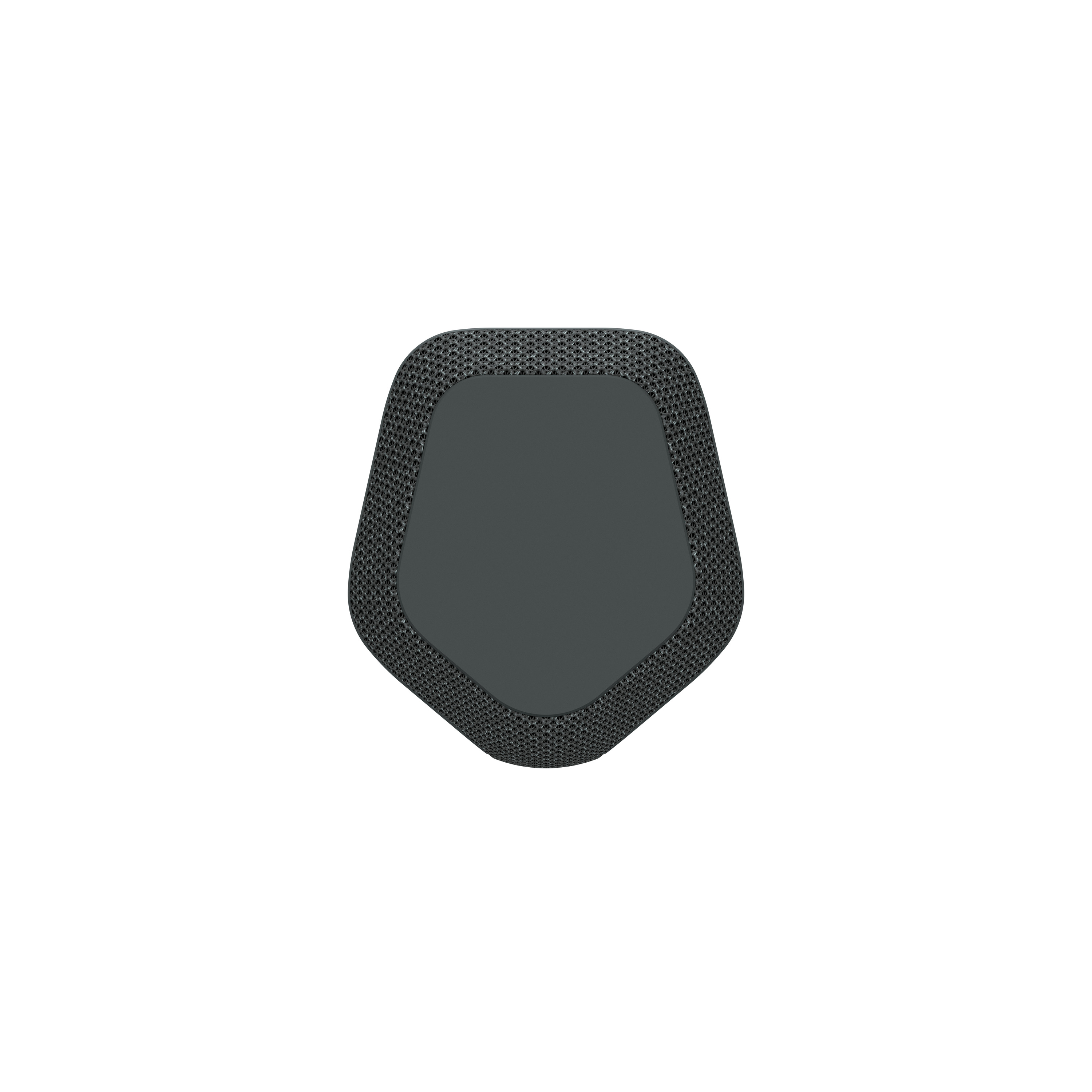 Sony XE300 X-Series Portable Wireless Speaker in Black - SRSXE300/B