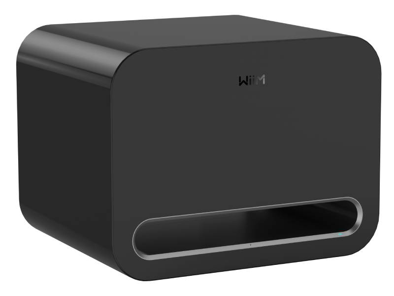 8" Wiim Sub Pro Wireless Smart Subwoofer - WIIMSUBPRO