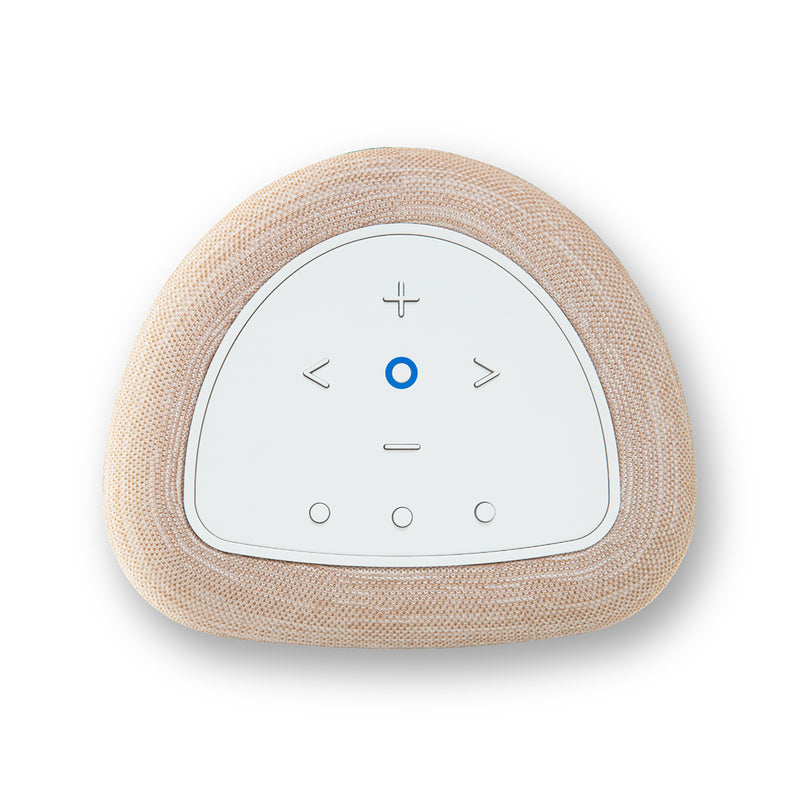 Bluesound PULSE FLEX Wireless All-In-One Music Streaming Speaker - P130TANUNV