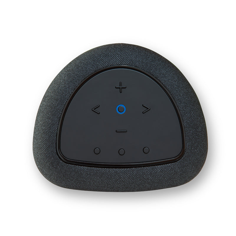 Bluesound PULSE FLEX Wireless All-In-One Music Streaming Speaker - P130BLKUNV