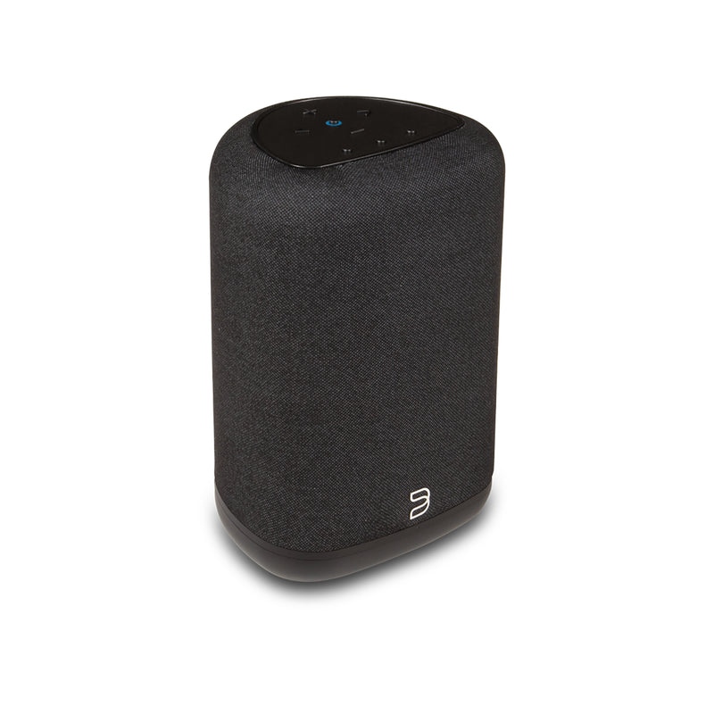 Bluesound PULSE FLEX Wireless All-In-One Music Streaming Speaker - P130BLKUNV
