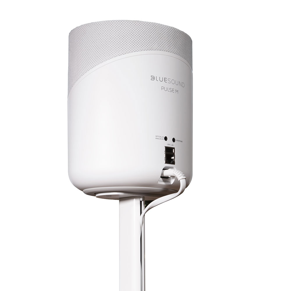 Bluesound Pulse M & Flex Adjustable Stand in White - FS230WHTUNV
