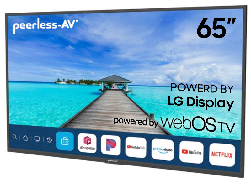 65" Peerless-AV NT653 Neptune Partial Sun Outdoor Smart TV