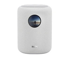 Wireless Speakers